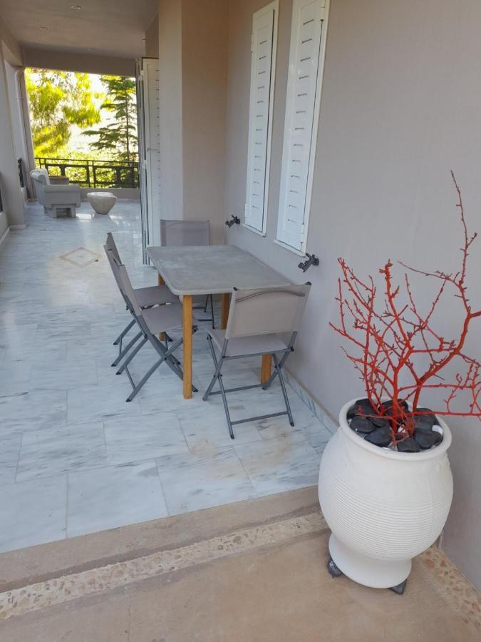 Suite With Garden Agia Marina  Exteriör bild