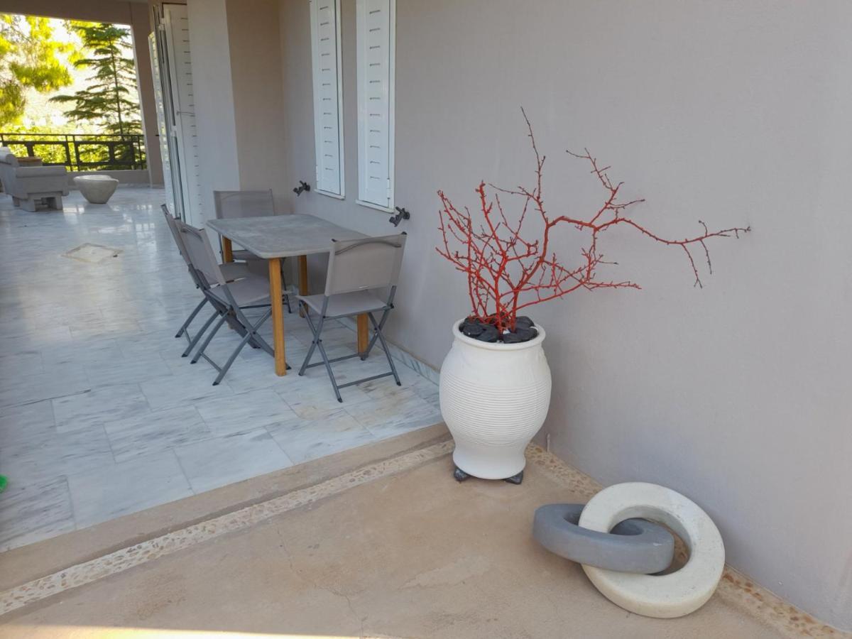 Suite With Garden Agia Marina  Exteriör bild